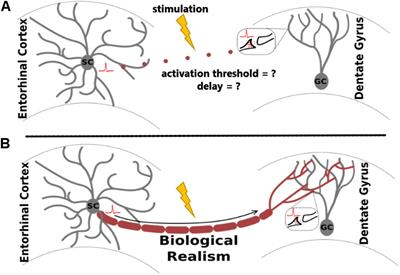 ROOTS: An Algorithm to Generate Biologically Realistic Cortical Axons and an Application to Electroceutical Modeling